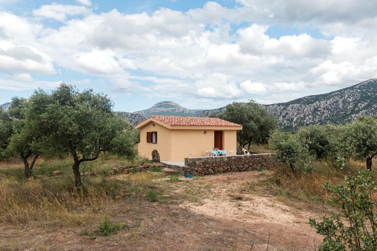 Hostal S'Ulumu Dorgali Exterior foto